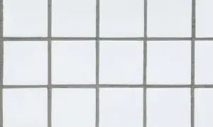 Close-up of white porcelain tiles with visible, unsanded grout lines.