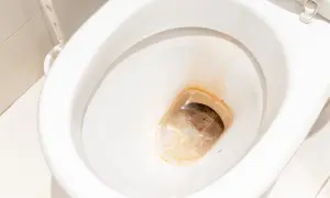 A dirty toilet bowl with stubborn rust-colored toilet stains. This image shows the challenge of how to clean toilet stains effectively.