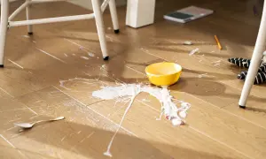 A yellow bowl has spilled white liquid and fruit on a laminate floor. Learn how to clean laminate floors effectively after such messes.
