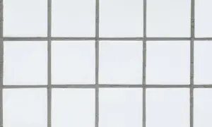 A grid of small, white square tiles with gray grout filling the spaces between them. This grout is what holds the tiles together and prevents water from seeping through.