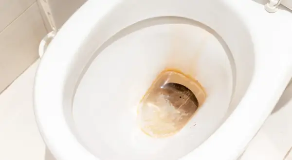 A dirty toilet bowl with stubborn rust-colored toilet stains. This image shows the challenge of how to clean toilet stains effectively.