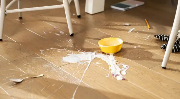 A yellow bowl has spilled white liquid and fruit on a laminate floor. Learn how to clean laminate floors effectively after such messes.