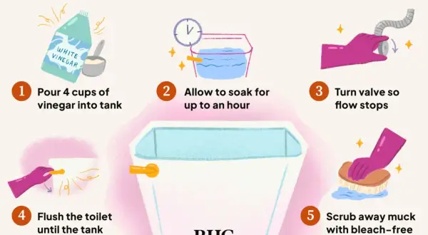 Learn how to clean toilet tank: pour vinegar, soak, turn off water, flush, then scrub with disinfectant.