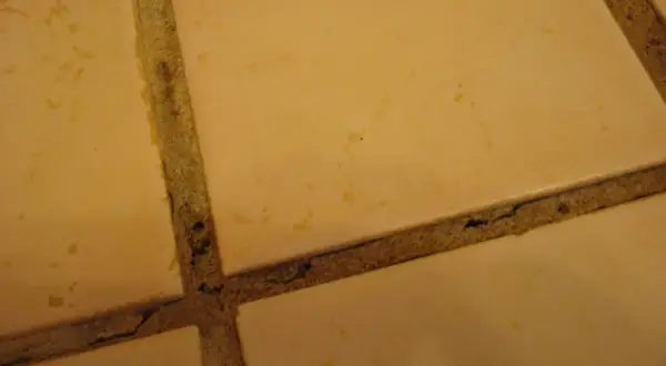Close-up of beige tiles with visible grout cracking in a shower, showing signs of wear and tear.