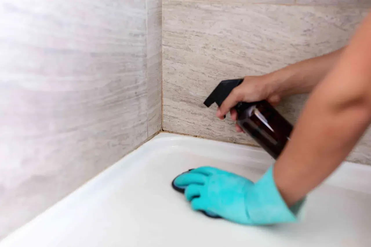 A person in a blue glove sprays cleaner onto shower grout, demonstrating how to clean grout in shower.
