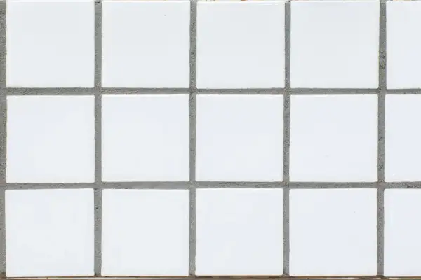 Close-up of white porcelain tiles with visible, unsanded grout lines.