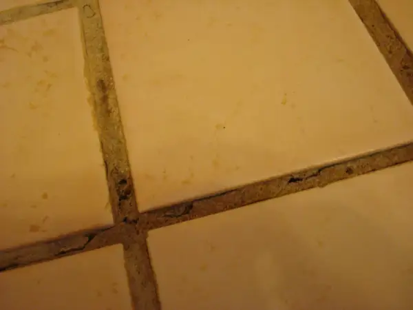 Close-up of beige tiles with visible grout cracking in a shower, showing signs of wear and tear.